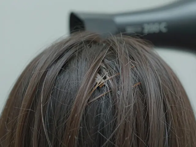 Jak obnovit poškozené vlasy: praktické rady a řešení